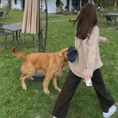 白兔糖海报