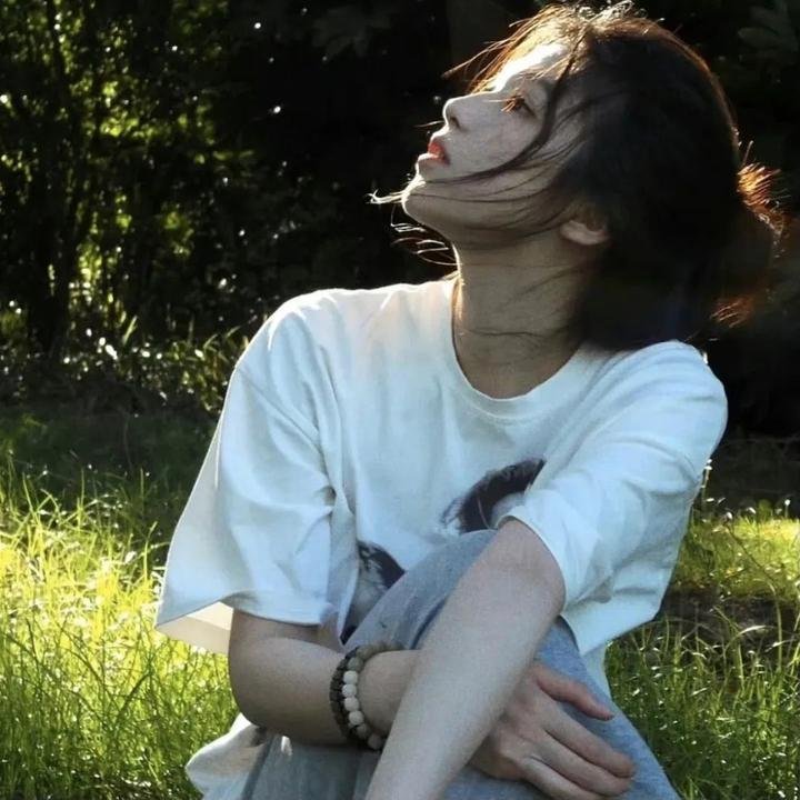 红海龟海报