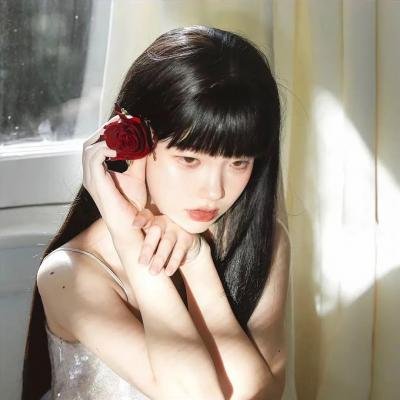 囧探查过界粤语海报